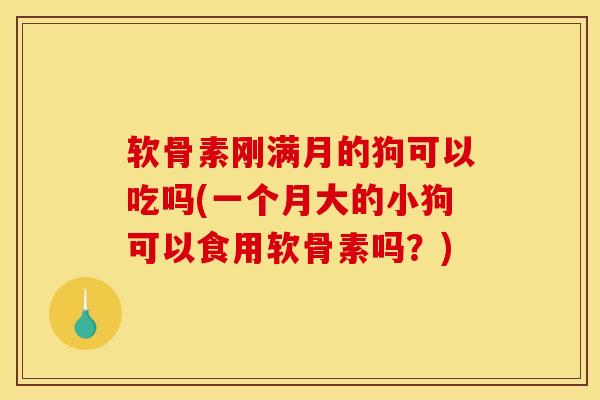 软骨素刚满月的狗可以吃吗(一个月大的小狗可以食用软骨素吗？)