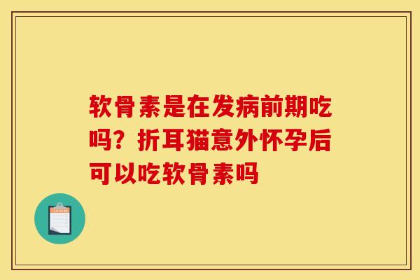 软骨素是在发病前期吃吗？折耳猫意外怀孕后可以吃软骨素吗
