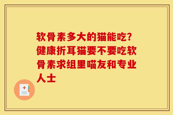 软骨素多大的猫能吃？健康折耳猫要不要吃软骨素求组里喵友和专业人士