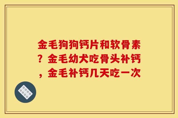 金毛狗狗钙片和软骨素？金毛幼犬吃骨头补钙，金毛补钙几天吃一次