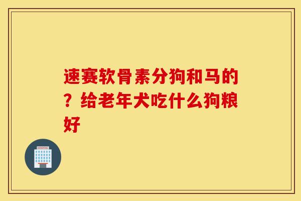 速赛软骨素分狗和马的？给老年犬吃什么狗粮好