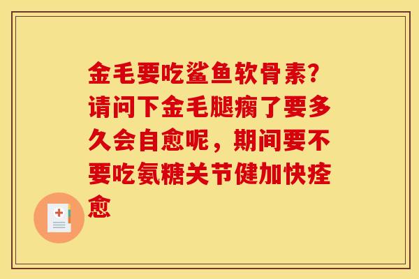 金毛要吃鲨鱼软骨素？请问下金毛腿瘸了要多久会自愈呢，期间要不要吃氨糖关节健加快痊愈