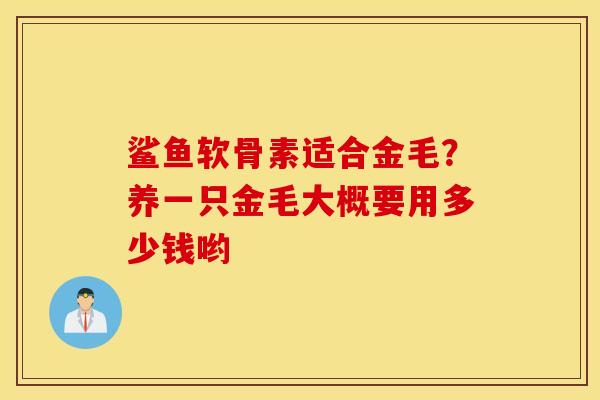 鲨鱼软骨素适合金毛？养一只金毛大概要用多少钱哟