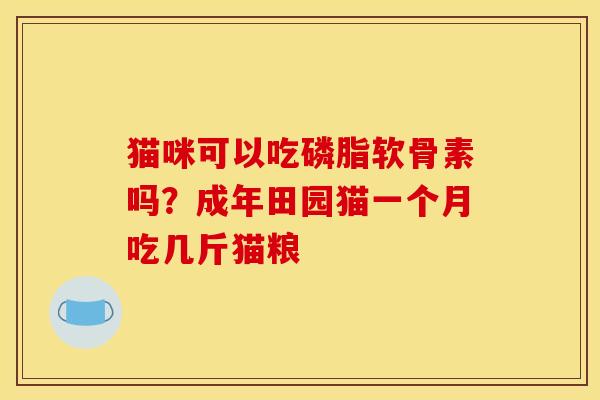 猫咪可以吃磷脂软骨素吗？成年田园猫一个月吃几斤猫粮
