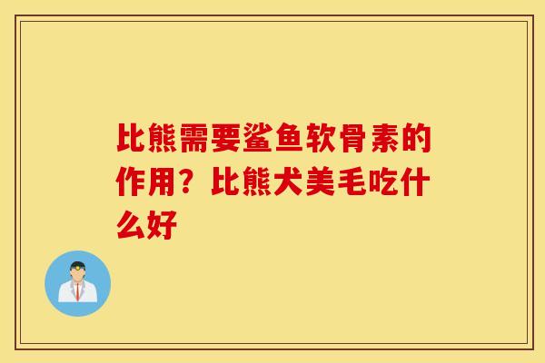 比熊需要鲨鱼软骨素的作用？比熊犬美毛吃什么好