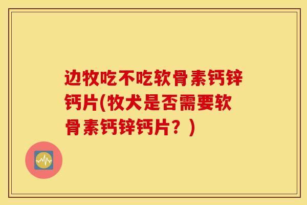 边牧吃不吃软骨素钙锌钙片(牧犬是否需要软骨素钙锌钙片？)