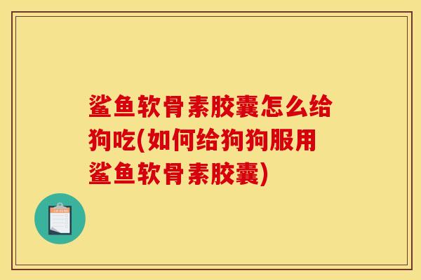 鲨鱼软骨素胶囊怎么给狗吃(如何给狗狗服用鲨鱼软骨素胶囊)