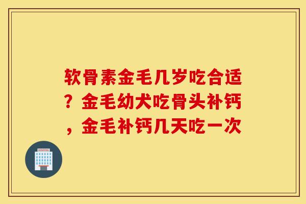 软骨素金毛几岁吃合适？金毛幼犬吃骨头补钙，金毛补钙几天吃一次