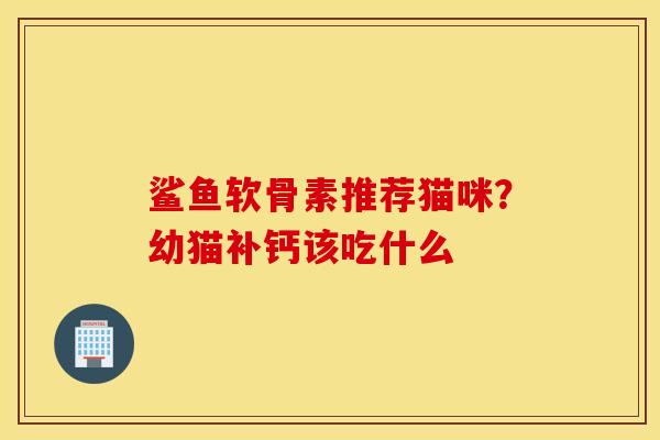 鲨鱼软骨素推荐猫咪？幼猫补钙该吃什么