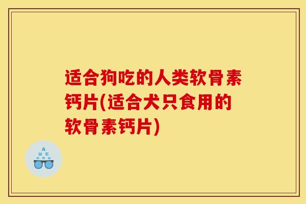 适合狗吃的人类软骨素钙片(适合犬只食用的软骨素钙片)