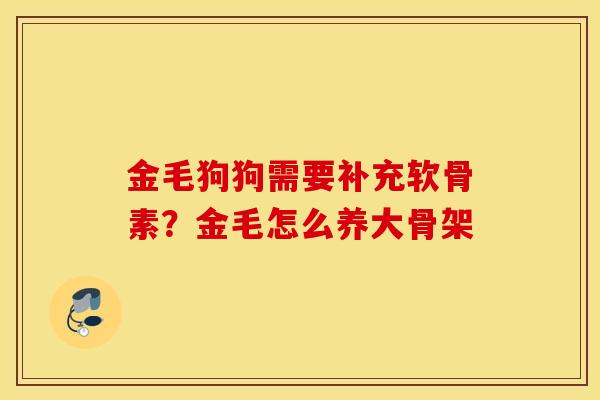 金毛狗狗需要补充软骨素？金毛怎么养大骨架
