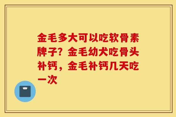 金毛多大可以吃软骨素牌子？金毛幼犬吃骨头补钙，金毛补钙几天吃一次