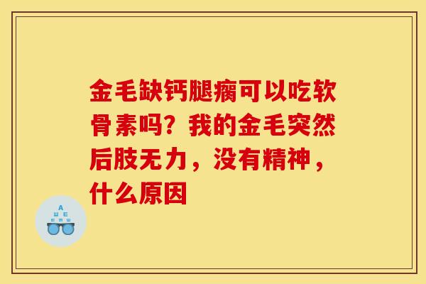 金毛缺钙腿瘸可以吃软骨素吗？我的金毛突然后肢无力，没有精神，什么原因
