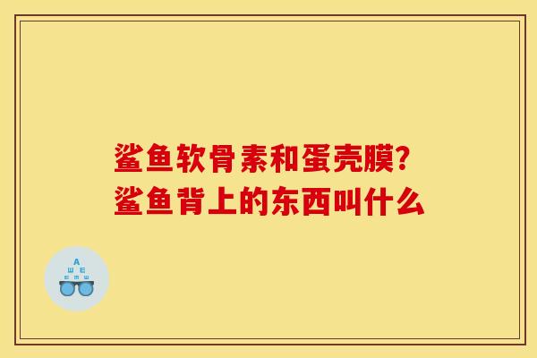 鲨鱼软骨素和蛋壳膜？鲨鱼背上的东西叫什么
