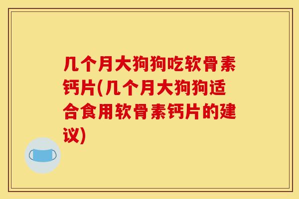 几个月大狗狗吃软骨素钙片(几个月大狗狗适合食用软骨素钙片的建议) 几个月大狗狗吃软骨素钙片(几个月大狗狗适合食用软骨素钙片的建议)