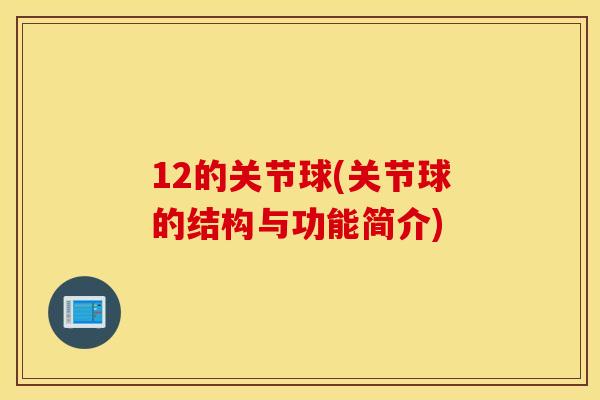 12的关节球(关节球的结构与功能简介)