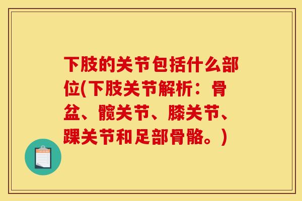 下肢的关节包括什么部位(下肢关节解析：骨盆、髋关节、膝关节、踝关节和足部骨骼。)