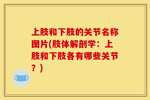 上肢和下肢的关节名称图片(肢体解剖学：上肢和下肢各有哪些关节？)