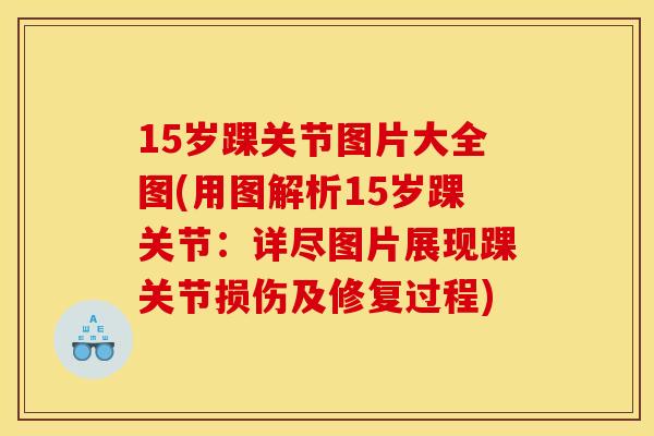 15岁踝关节图片大全图(用图解析15岁踝关节：详尽图片展现踝关节损伤及修复过程)