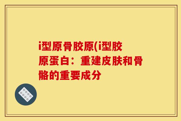 i型原骨胶原(i型胶原蛋白：重建皮肤和骨骼的重要成分