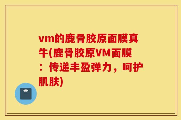 vm的鹿骨胶原面膜真牛(鹿骨胶原VM面膜：传递丰盈弹力，呵护肌肤)