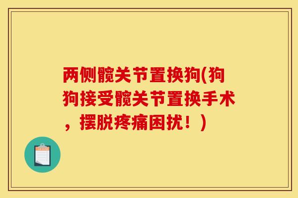 两侧髋关节置换狗(狗狗接受髋关节置换手术，摆脱疼痛困扰！)
