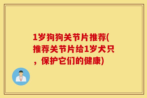 1岁狗狗关节片推荐(推荐关节片给1岁犬只，保护它们的健康)