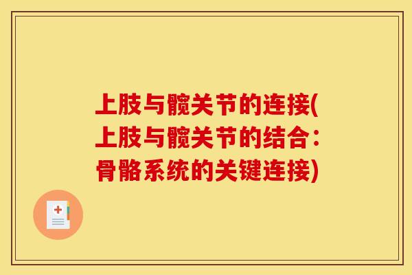 上肢与髋关节的连接(上肢与髋关节的结合：骨骼系统的关键连接)