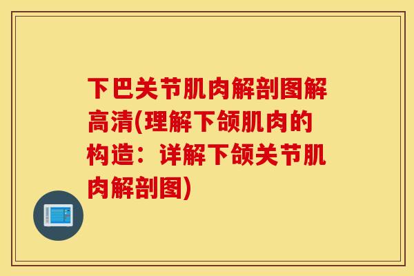 下巴关节肌肉解剖图解高清(理解下颌肌肉的构造：详解下颌关节肌肉解剖图)