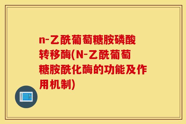 n-乙酰葡萄糖胺磷酸转移酶(N-乙酰葡萄糖胺酰化酶的功能及作用机制)