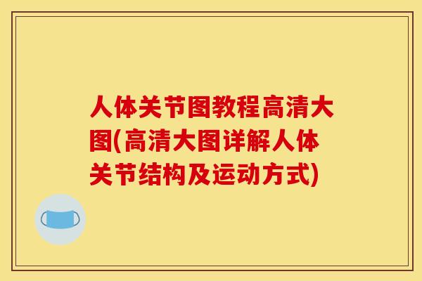 人体关节图教程高清大图(高清大图详解人体关节结构及运动方式)