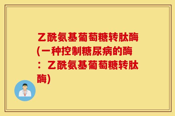 乙酰氨基葡萄糖转肽酶(一种控制糖尿病的酶：乙酰氨基葡萄糖转肽酶)
