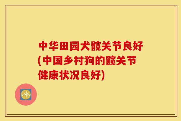中华田园犬髋关节良好(中国乡村狗的髋关节健康状况良好)