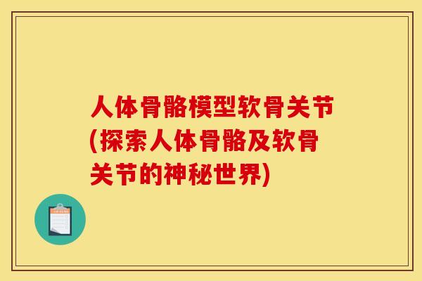 人体骨骼模型软骨关节(探索人体骨骼及软骨关节的神秘世界)