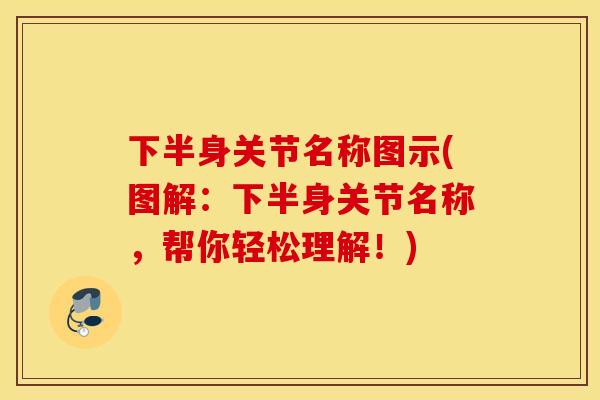 下半身关节名称图示(图解：下半身关节名称，帮你轻松理解！)