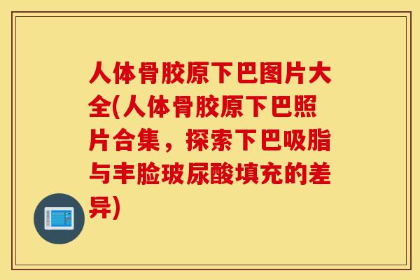 人体骨胶原下巴图片大全(人体骨胶原下巴照片合集，探索下巴吸脂与丰脸玻尿酸填充的差异)