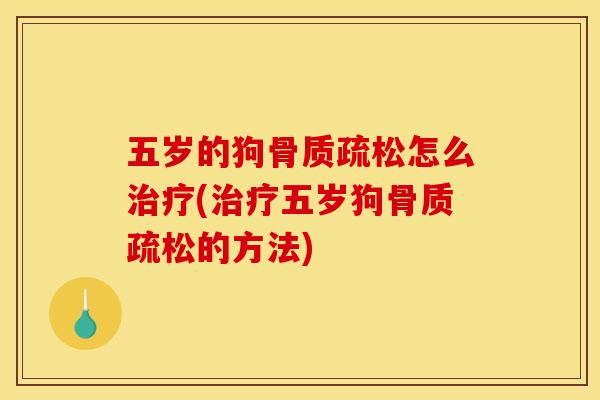 五岁的狗骨质疏松怎么治疗(治疗五岁狗骨质疏松的方法)