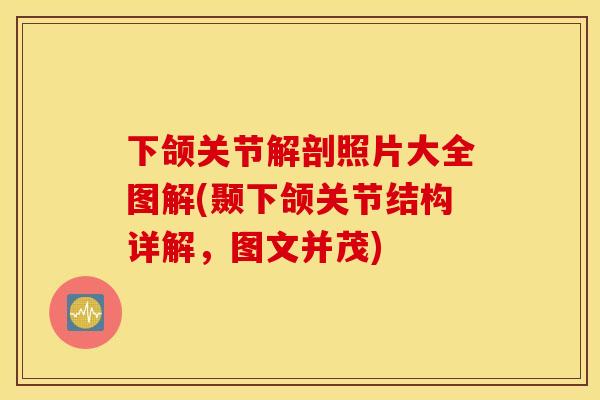 下颌关节解剖照片大全图解(颞下颌关节结构详解，图文并茂)