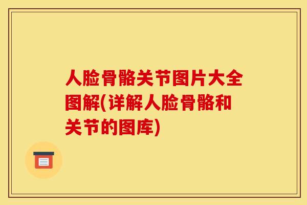 人脸骨骼关节图片大全图解(详解人脸骨骼和关节的图库)