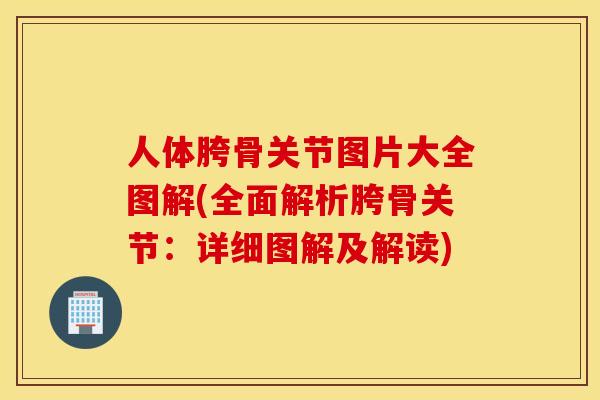 人体胯骨关节图片大全图解(全面解析胯骨关节：详细图解及解读)