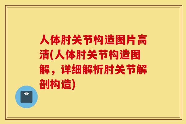 人体肘关节构造图片高清(人体肘关节构造图解,详细解析肘关节解剖构造) 人体肘关节构造图片高清(人体肘关节构造图解,详细解析肘关节解剖构造)