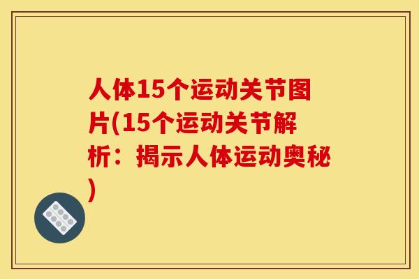 人体15个运动关节图片(15个运动关节解析：揭示人体运动奥秘)