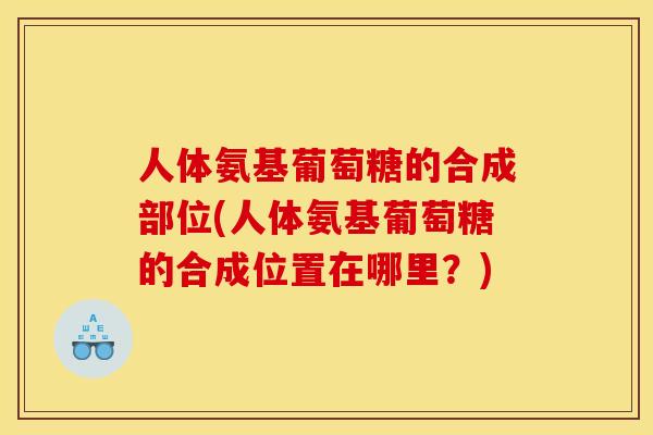 人体氨基葡萄糖的合成部位(人体氨基葡萄糖的合成位置在哪里？)