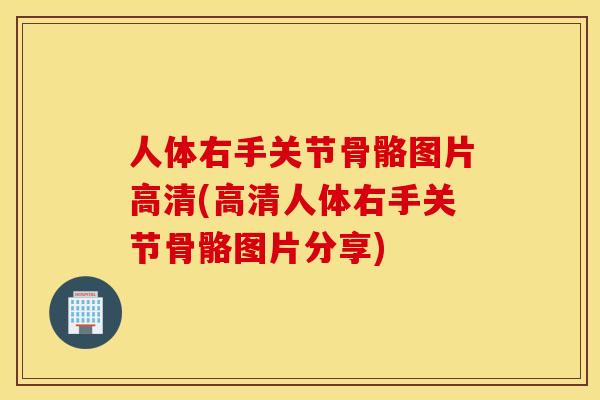 人体右手关节骨骼图片高清(高清人体右手关节骨骼图片分享)