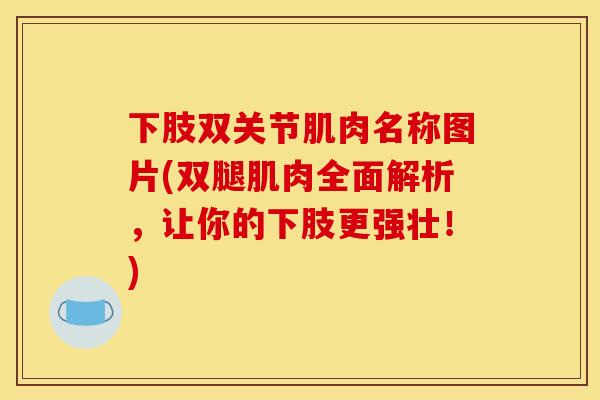 下肢双关节肌肉名称图片(双腿肌肉全面解析，让你的下肢更强壮！)