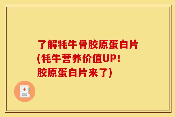 了解牦牛骨胶原蛋白片(牦牛营养价值UP！胶原蛋白片来了)
