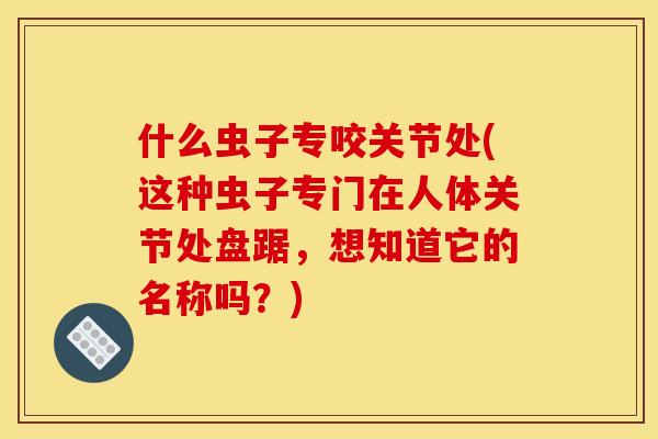 什么虫子专咬关节处(这种虫子专门在人体关节处盘踞，想知道它的名称吗？)