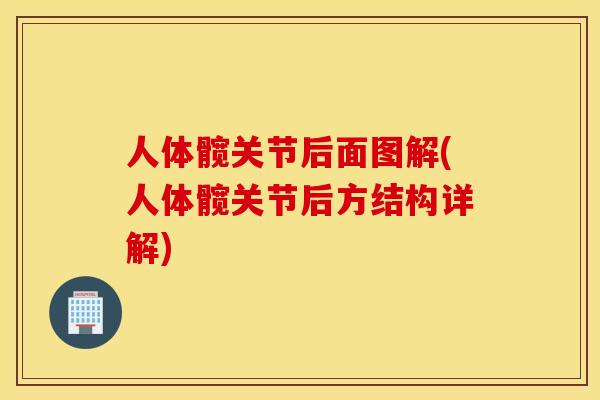 人体髋关节后面图解(人体髋关节后方结构详解)