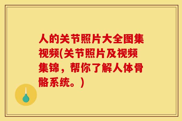 人的关节照片大全图集视频(关节照片及视频集锦，帮你了解人体骨骼系统。)
