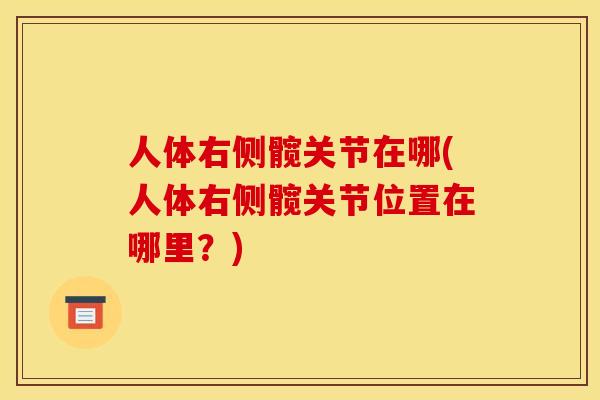 人体右侧髋关节在哪(人体右侧髋关节位置在哪里？)
